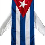 Cuba History eBook - University Press of Florida, 345-Page Kindle-0