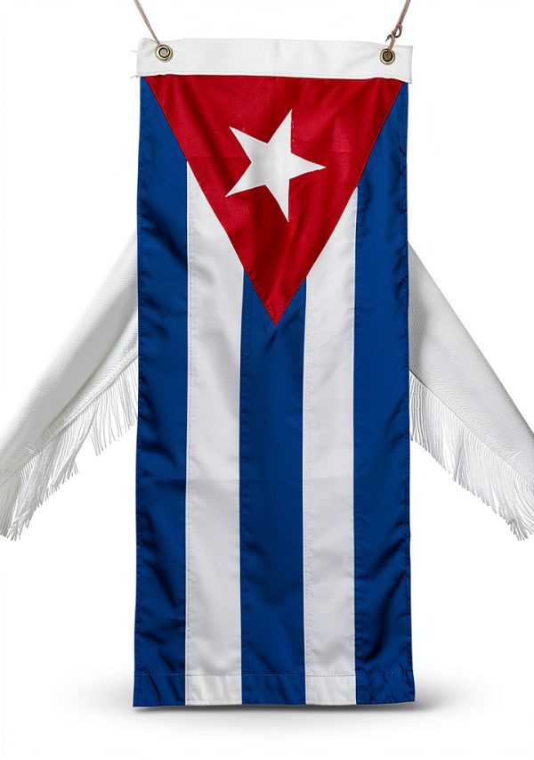 Cuba History eBook - University Press of Florida, 345-Page Kindle-0